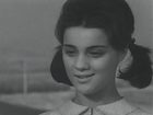   - "  " (1965)