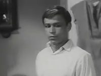 "    " (1966)