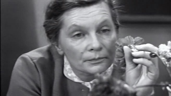   - "  ..." (1967)