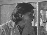 "  " (1966)