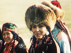     (1981)