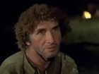   - " " (1981)