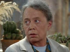 "  - 110" (1971-2021)