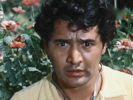    (1976)