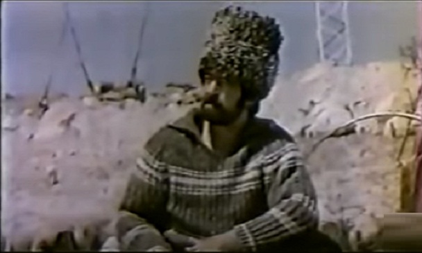  (1980)