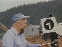 "  " (1981)