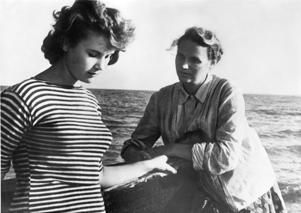   (1958)