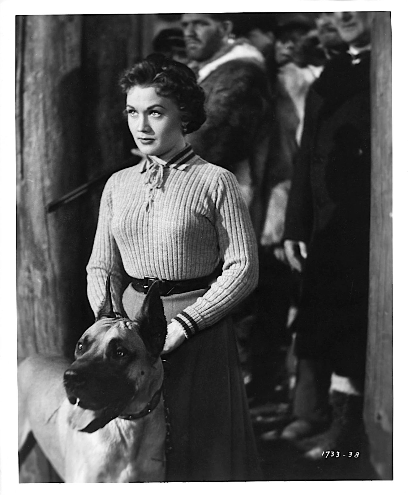     (1953)