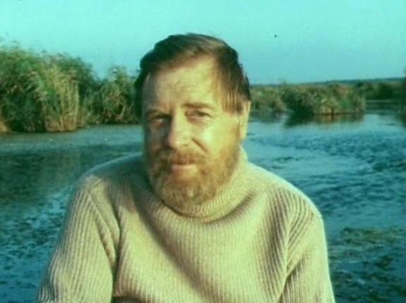   - "  " (1986)