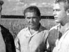   - "  " (1955)