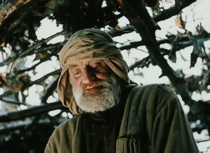     (1991)