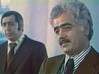   - "  " (1976, 1977)