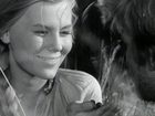   - " " (1963)