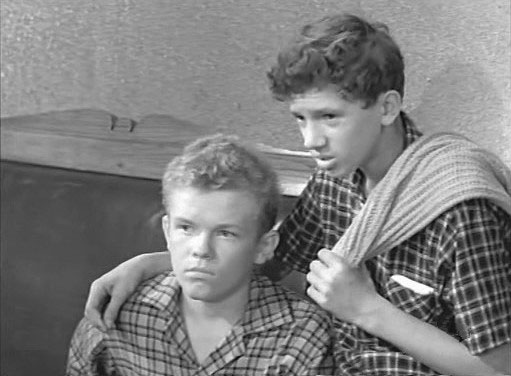   - "  " (1966)
