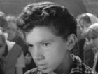   - "  " (1966)