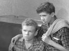   - "  " (1966)
