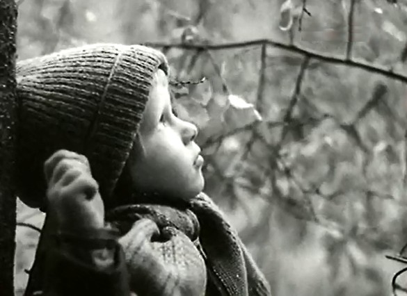   - "   " (1975)