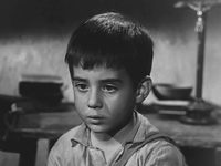 ",   " (1955)