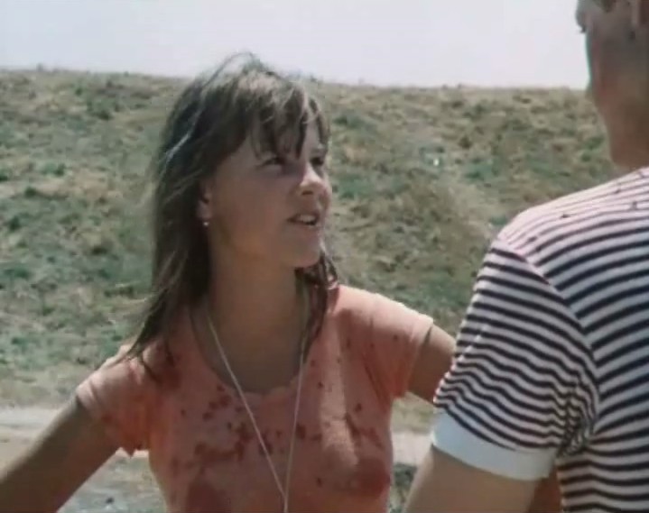      (1981)
