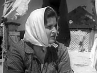 ",  " (1964)