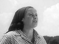 ",  " (1964)