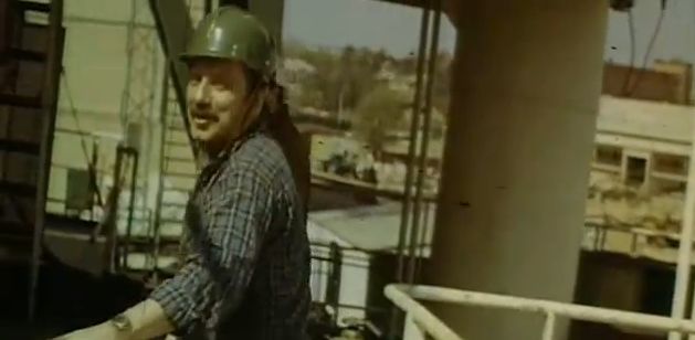   (1981)
