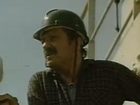   (1981)