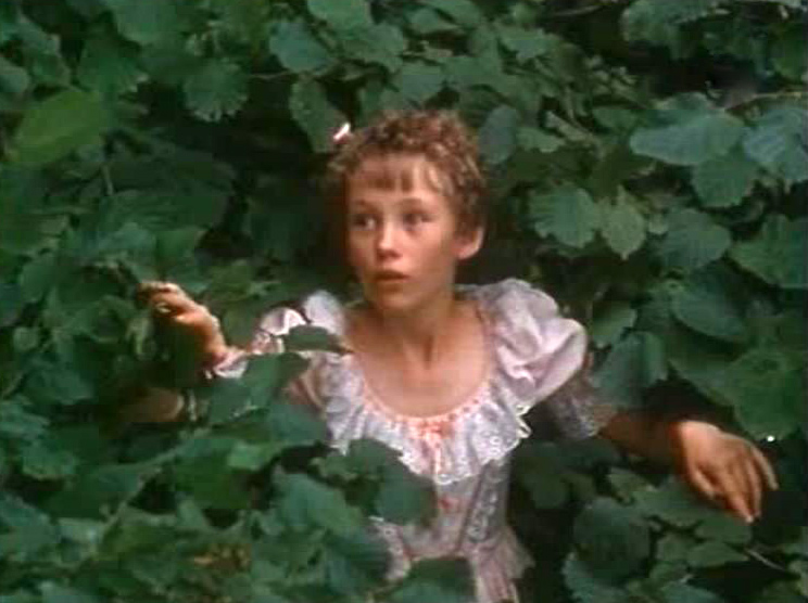   (1979)