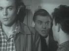   - "  " (1961)