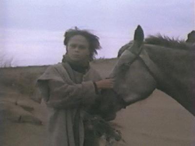  (1987)