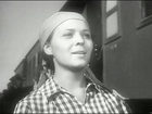 " " (1954)