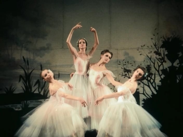    (1988)