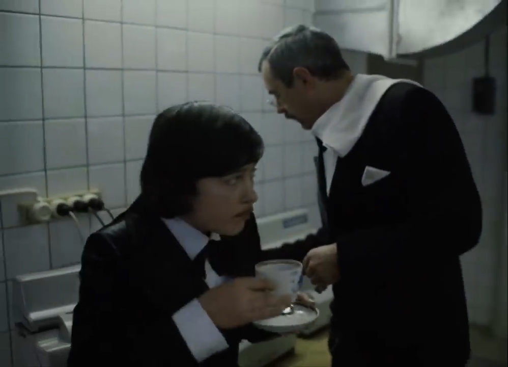  (1981)