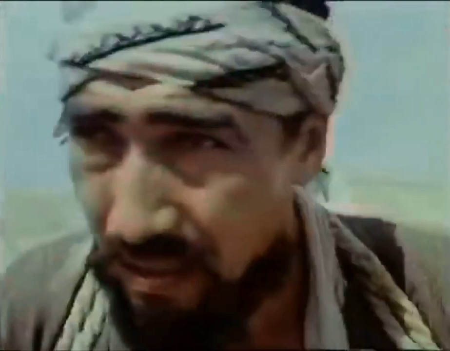   (1987)