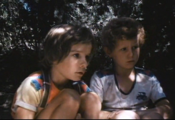    (1989)