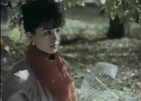   - " " (1991)