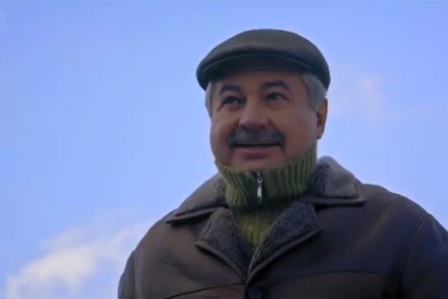 .  (2017)
