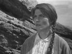   (1964)