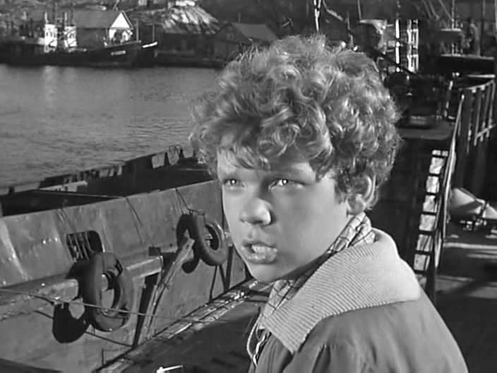   (1964)