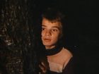   - "" (1981)
