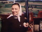  - - "  " (1951)