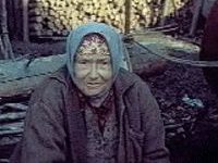 "   " (1986)