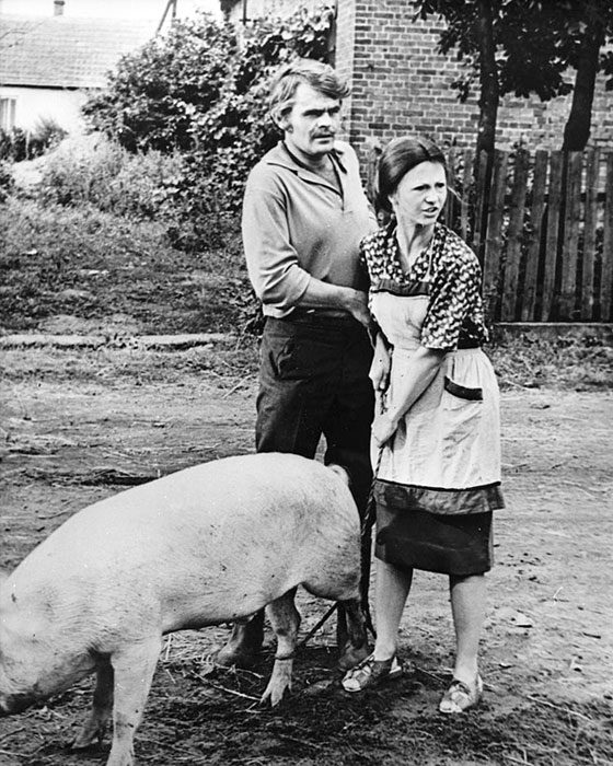    (1974)