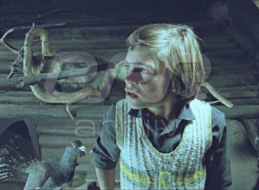   - "  " (1979)