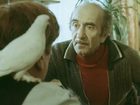   - "   " (1975)