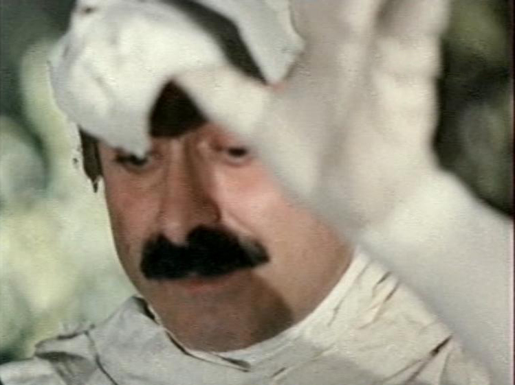    (1982)