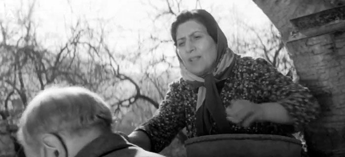   - "   ()" (1966)