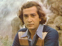   " ",  1981 