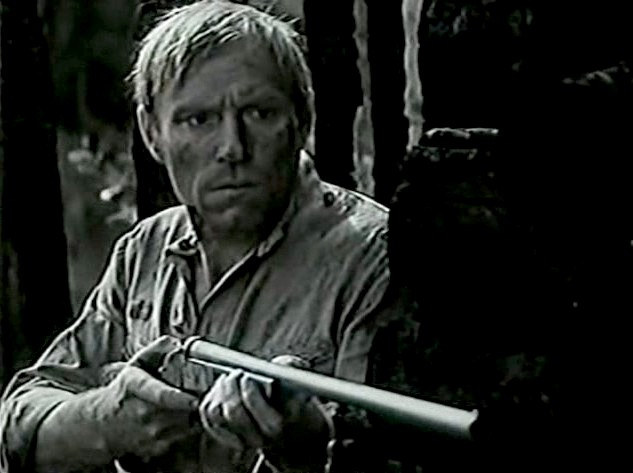   (1978)