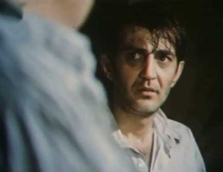    (1979)